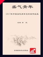 盛气青年  2017年中国当代青年艺术家作品集