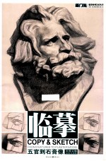 五官到石膏像  石膏头像  切面与圆雕