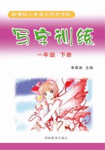 写字训练  一年级  下