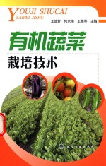 有机蔬菜栽培技术