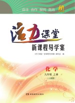 活力课堂·新课程导学案  化学  九年级  上  人教版