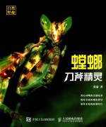 自然野趣  刀斧精灵  螳螂