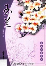 工笔线描画谱  玉兰
