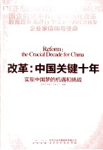 改革  中国关键十年