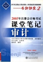 2005年注册会计师考试课堂笔记  审计
