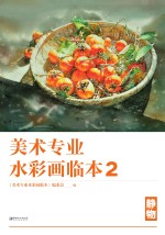美术专业水彩画临本  2  静物