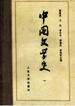 中国文学史  1