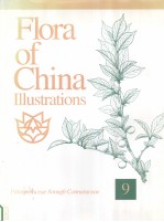 FLORA OF CHIAN  iLLUSTRATIONS  9
