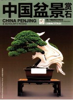 中国盆景赏石  2013-2