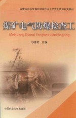 内蒙古自治区煤矿特种作业人员安全培训补充教材  煤矿电气防暴检查工