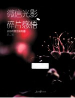 微信光影碎片感悟  张彤的微信朋友圈  第2辑