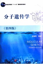 分子遗传学  第4版