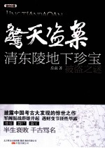 惊天盗案  清东陵地宫珍宝被盗之谜