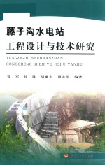 藤子沟水电站工程设计与技术研究