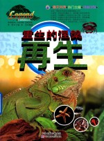 重生的涅盘  再生