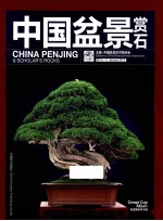 中国盆景赏石  2013-1