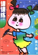 课课练  小学  语文  第6册  第2版