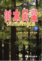树木风采  图集  下