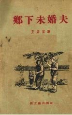 乡下未婚夫  小说集