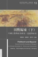 田野归来  中国宗教与社会研究  下  道德与社会