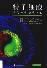 精子细胞  生成  成熟  受精  再生