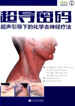超导密码  超声引导下的化学去神经疗法