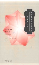 噪音使整个世界静默  耶胡达·阿米亥诗选