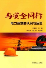与安全同行  电力违章的认识与发展