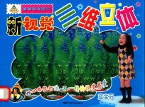 新视觉三维立体  蓝宝石