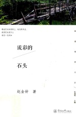 岭南创作文丛  流彩的石头