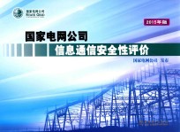 国家电网公司信息通信安全性评价  试行  2015年版
