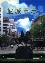 盐城市志  下