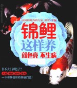 锦鲤这样养  颜色亮  不生病