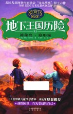 地下王国历险神秘岛  隐形城  2